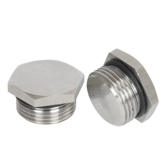 M10 M12 M16 Stainless Steel A2 A4 Hex Socket Screw Plug DIN908 Oil Pipe Plugs Hexagon Socket Screw Plug