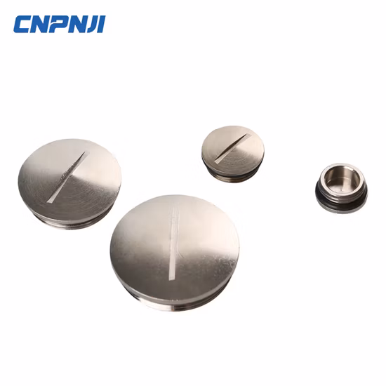 Brass Metal Screw Plugs with High Quality