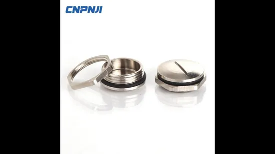 Metal Threaded Protective Cover Screw Plug Dust