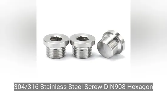 OEM Custom and Standard High Quality Magnetic Standard Oil Drain Plug DIN908 