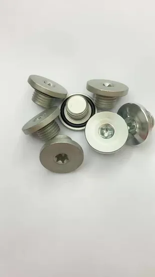 for Peugeot FIAT Suzuki Chevy GM Opel Torx Bolt, Oil Drain Plug M14 